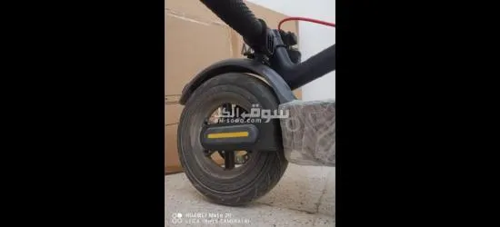 بشار - 5