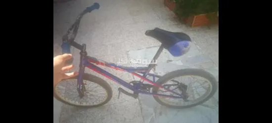 فيلو للبيع ما فيهاش مشطه برك