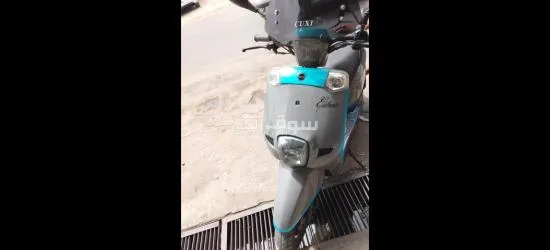 حي التضامن العبادية