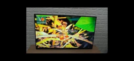 Télévision  43P Simple Marque Géant - 3