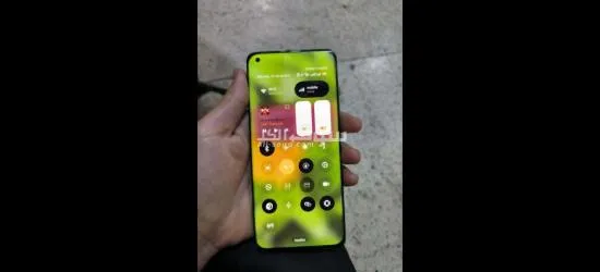 المرجة - 3