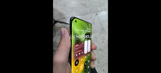 المرجة - 4