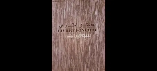 ارض للبيع في عين البنيان - 2