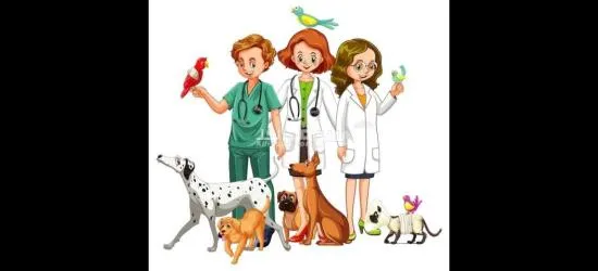 دورات تدريبية في مجال الطب البيطري