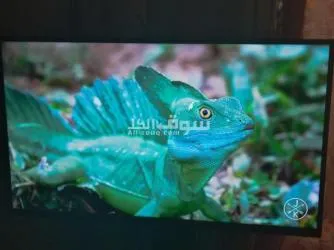 Tv Samsung 40 pouces