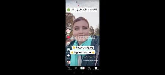 اولاد فارس الشلف - 10