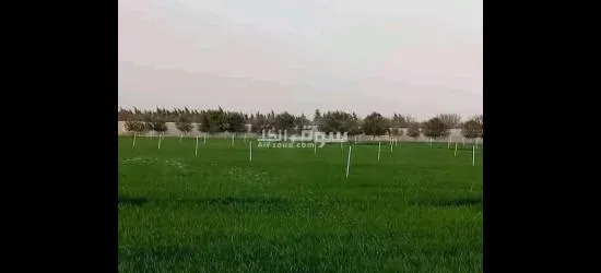 بلدية المعاريف بوسعادة ولاية المسيلة