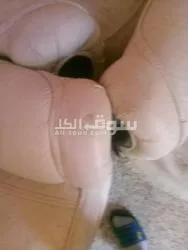 فوتاي مستعمل - 8